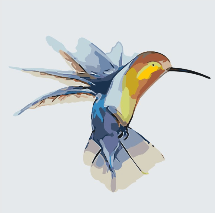 Diamond Painting - Colibri - SEOS®