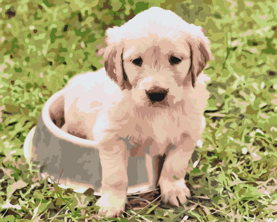 Diamond Painting - Labrador dans un bol - SEOS®