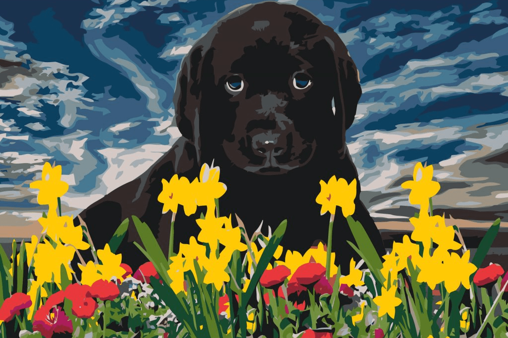 Diamond Painting - Chiot Labrador - SEOS®