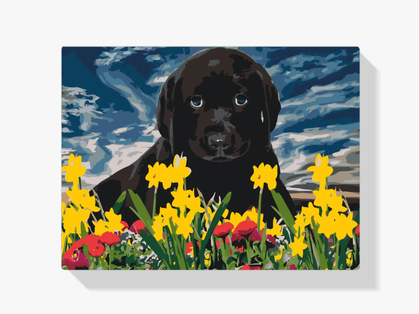 Diamond Painting - Chiot Labrador - SEOS®