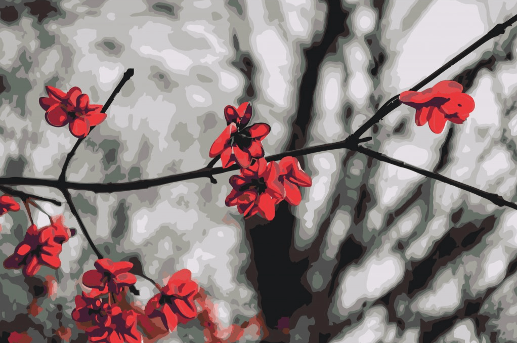 Diamond Painting - Fleurs rouges sur l'arbre - SEOS Shop ®