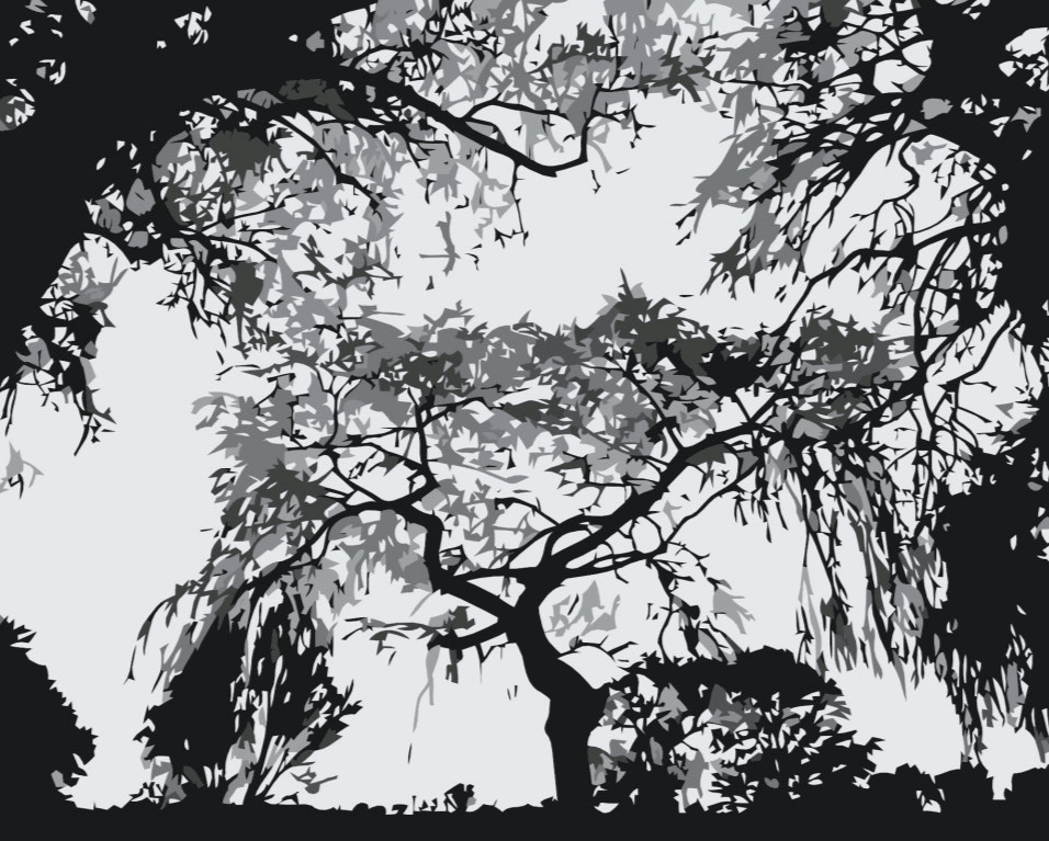 Diamond Painting - Silhouette d'arbres - SEOS Shop ®