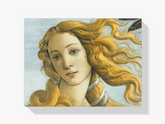 Diamond Painting - Venus - SEOS Shop ®