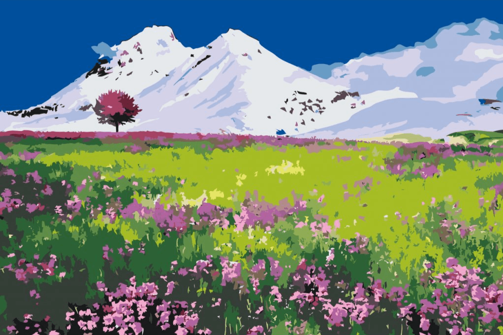 Diamond Painting - Prairie au milieu des montagnes - SEOS Shop ®