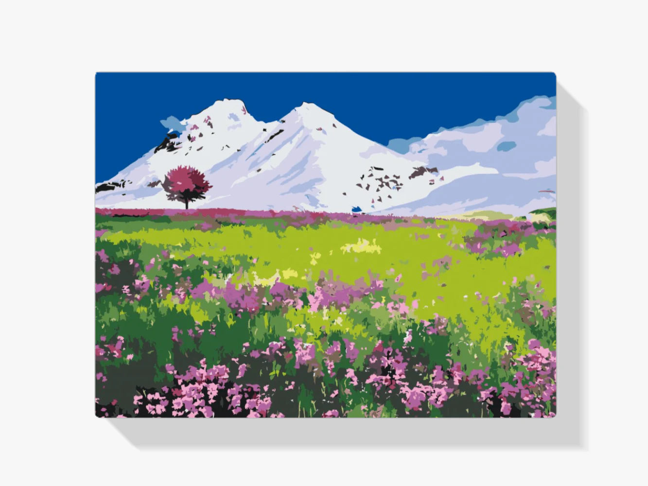 Diamond Painting - Prairie au milieu des montagnes - SEOS Shop ®