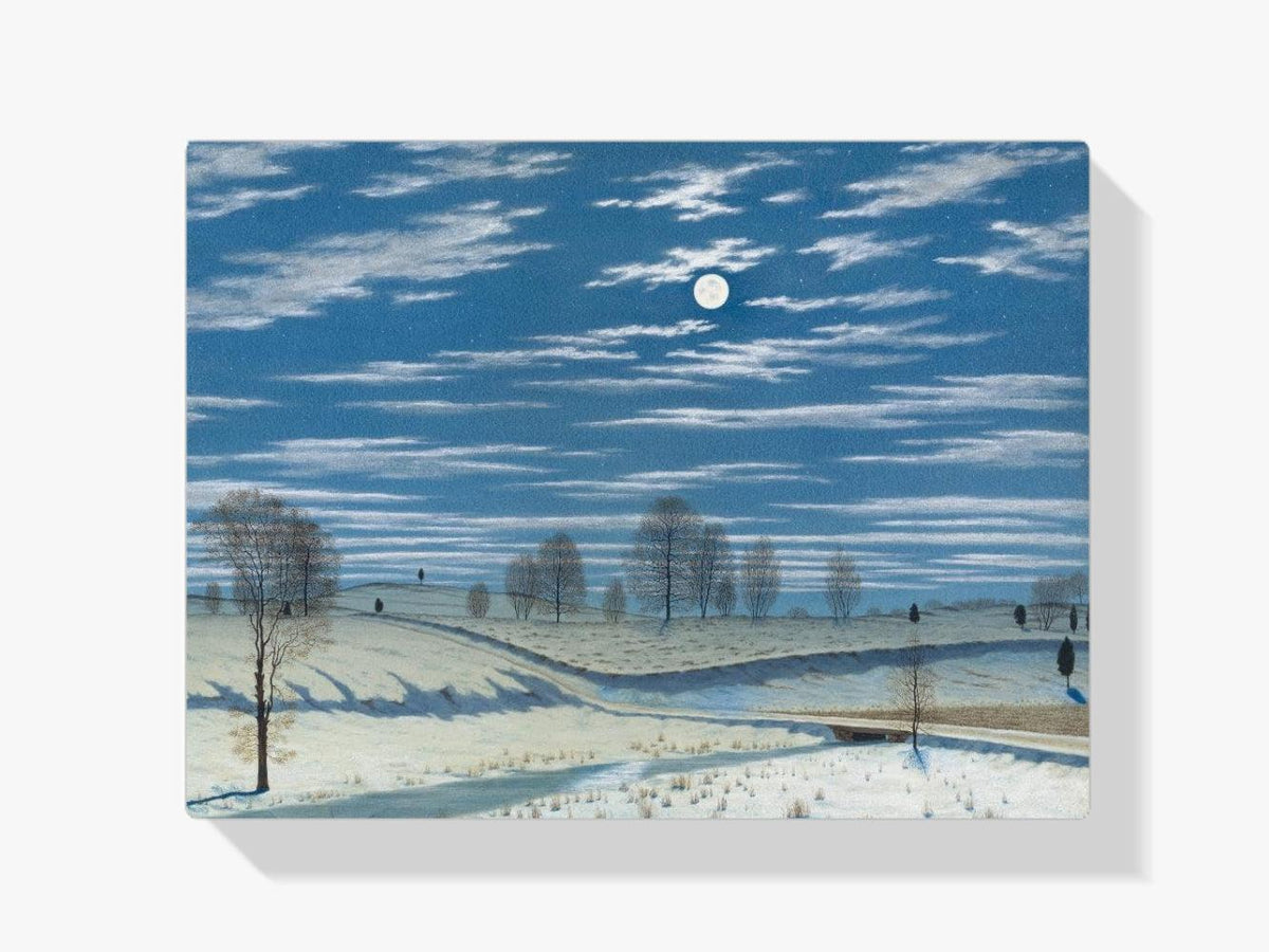 Diamond Painting - Scène d'hiver à la lumière de la lune - SEOS Shop ®