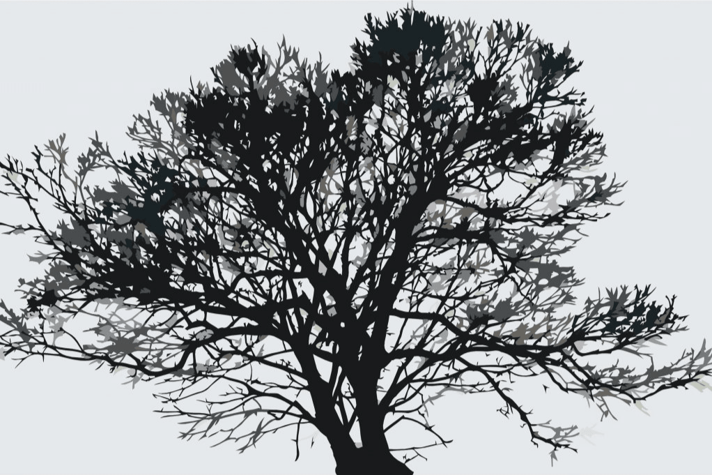 Diamond Painting - Arbre noir et blanc - SEOS Shop ®
