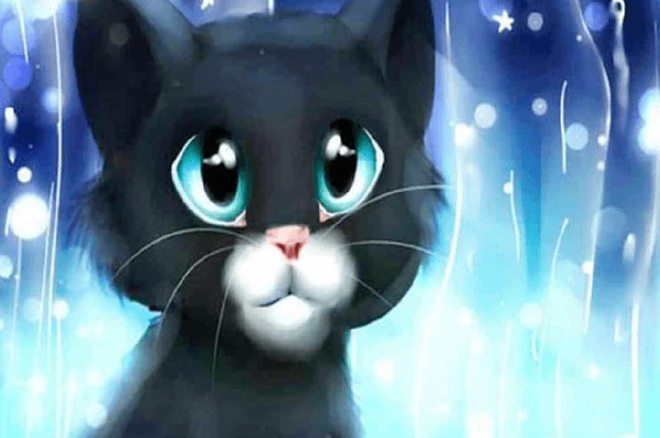 Diamond painting Chatons mignons - SEOS Shop ®