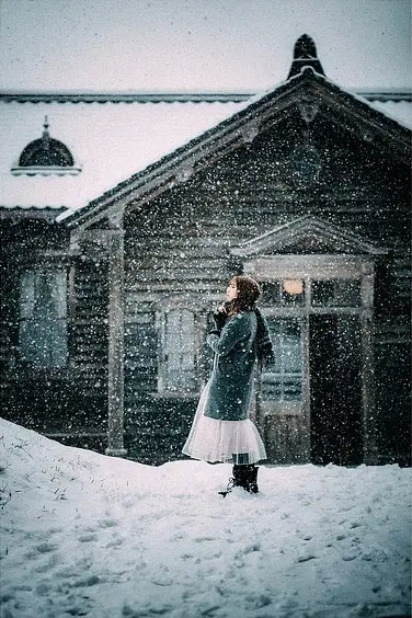 Diamond Painting - Jour de Neige