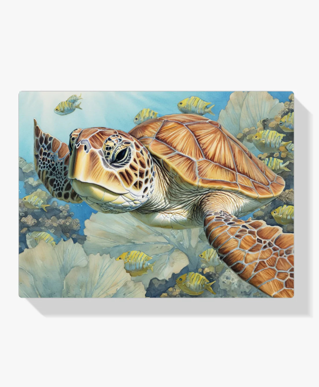 Diamond Painting - Tortue de mer - SEOS Shop ®