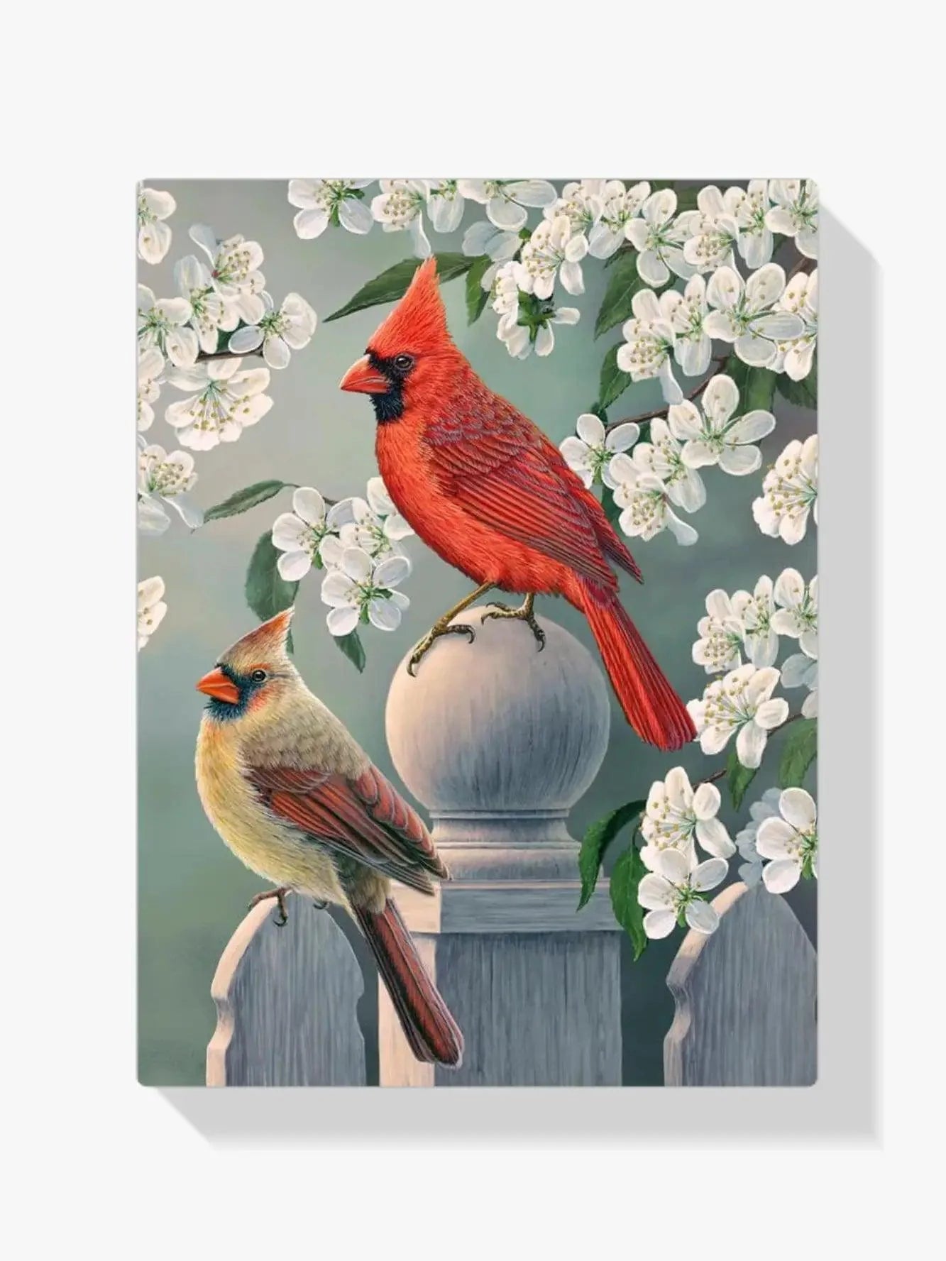 Diamond Painting - Cardinal jardin arrière paire