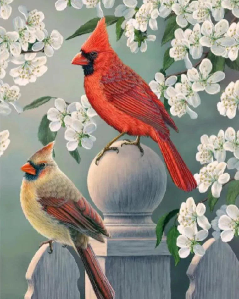 Diamond Painting - Cardinal jardin arrière paire