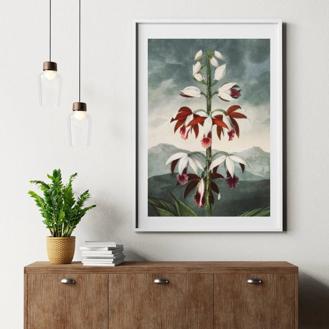 Diamond Painting - Le Limodoron Chinois - SEOS Shop ®