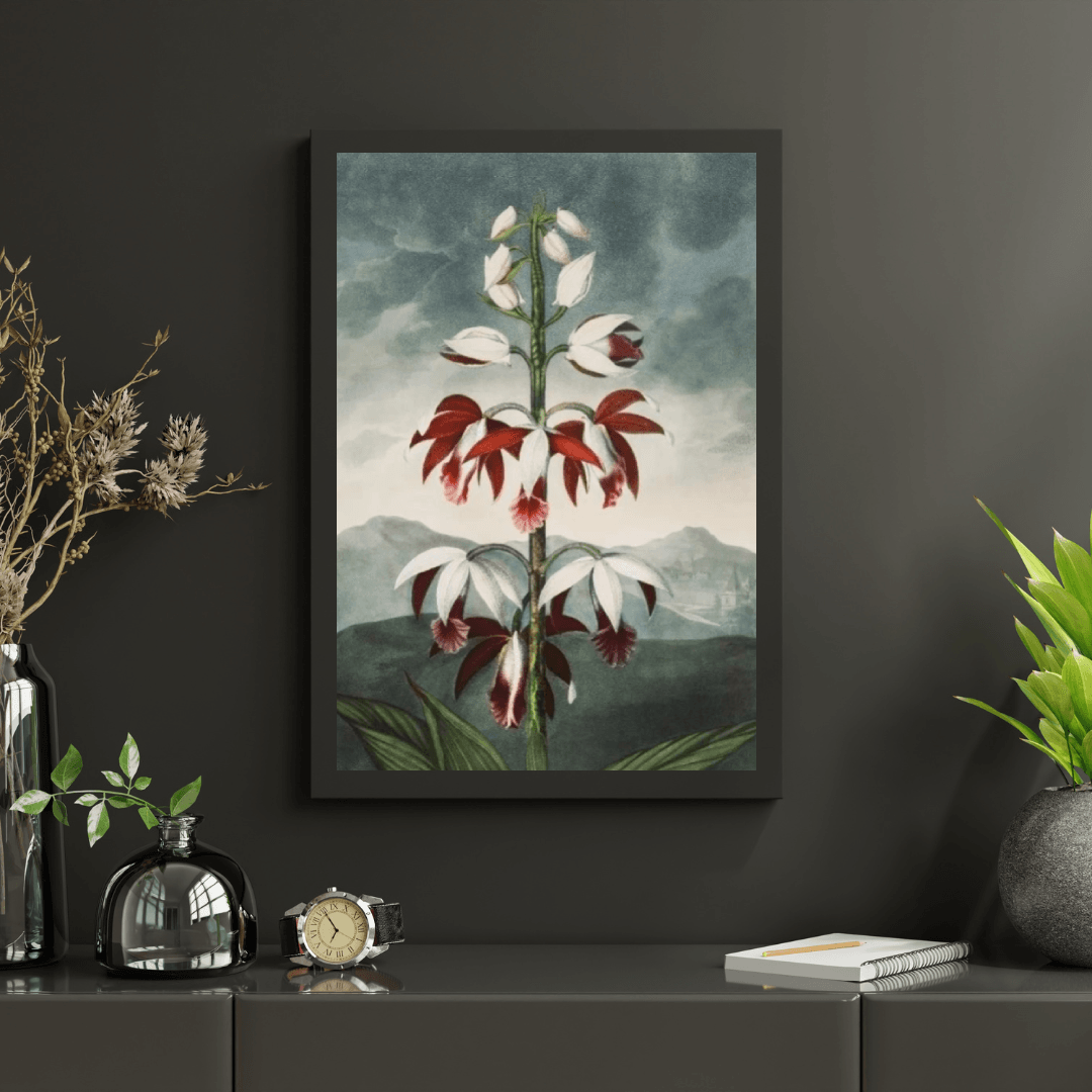 Diamond Painting - Le Limodoron Chinois - SEOS Shop ®