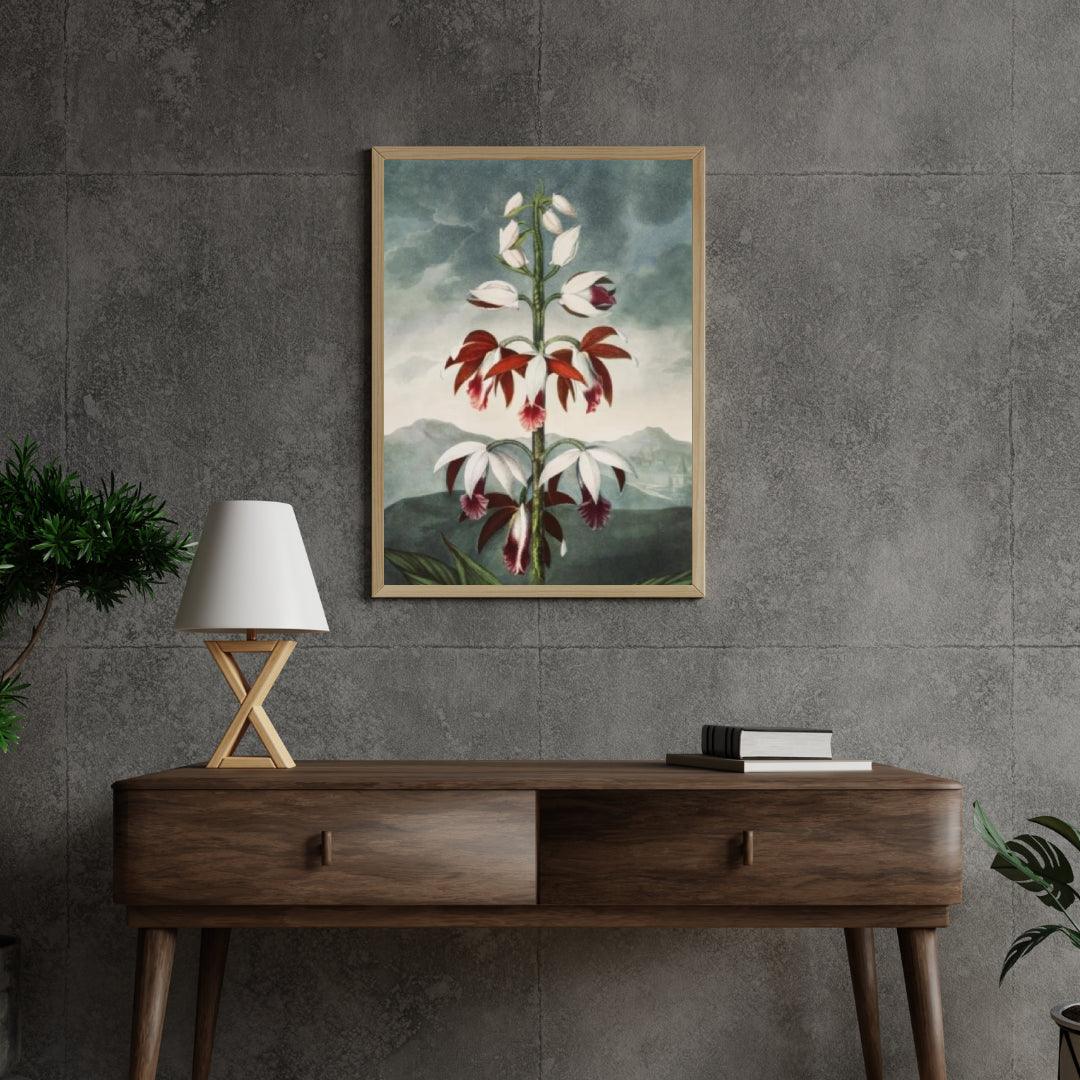 Diamond Painting - Le Limodoron Chinois - SEOS Shop ®