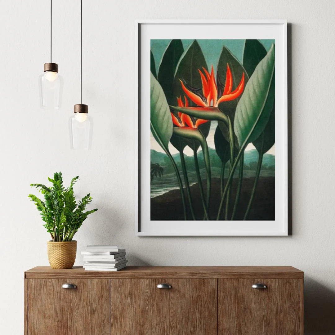 Diamond Painting - La Reine Plante - SEOS Shop ®