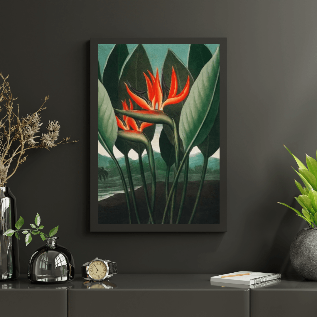 Diamond Painting - La Reine Plante - SEOS Shop ®