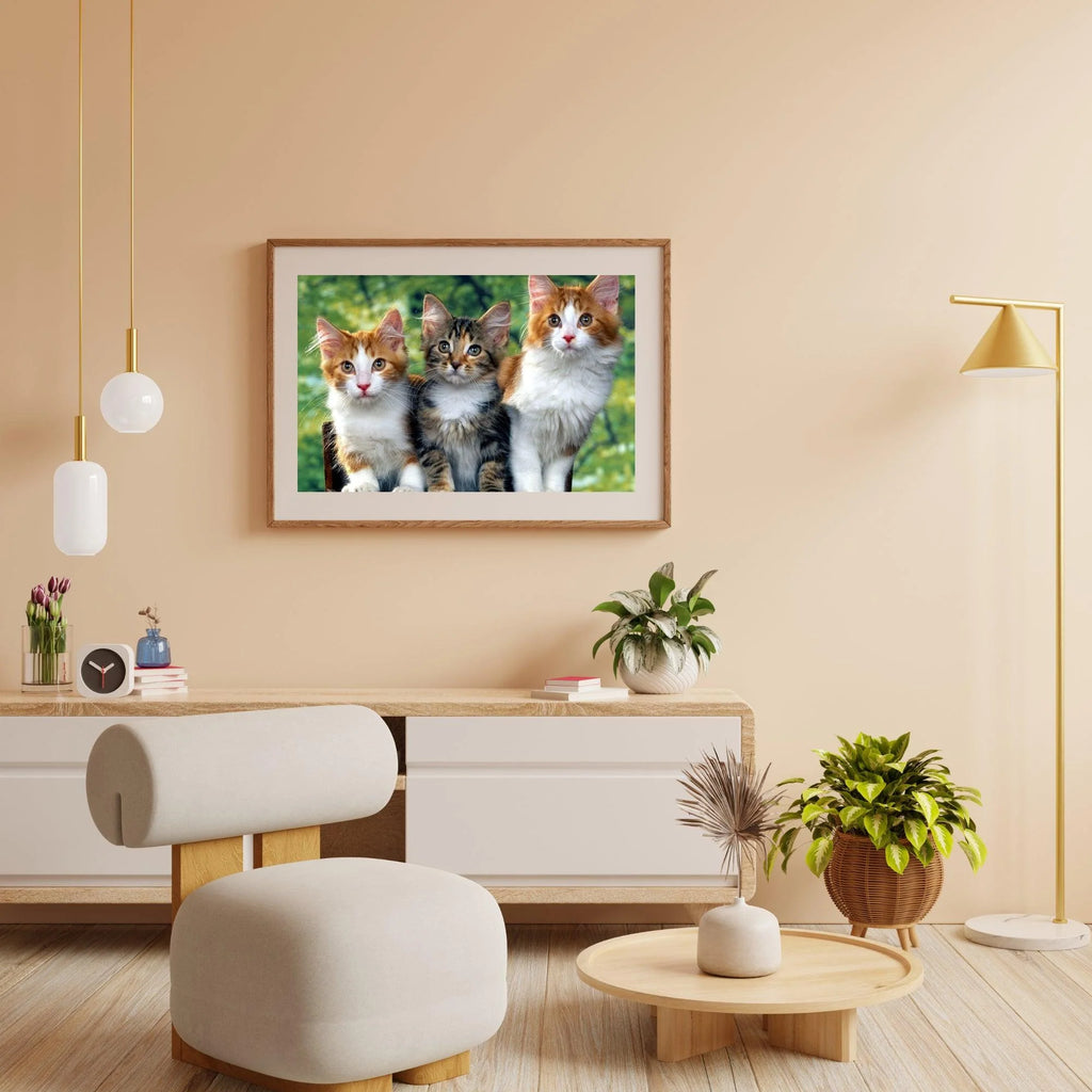 Diamond Painting - Trois chats - SEOS®