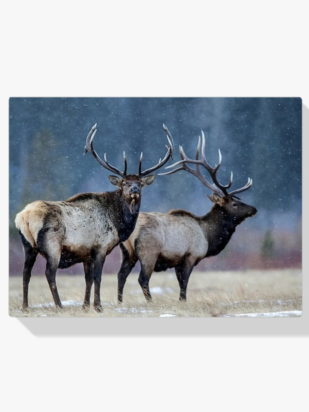 Diamond Painting - Première neige