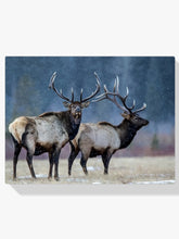 Diamond Painting - Première neige