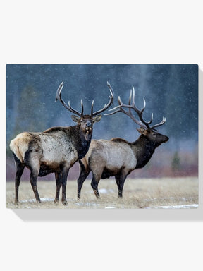 Diamond Painting - Première neige