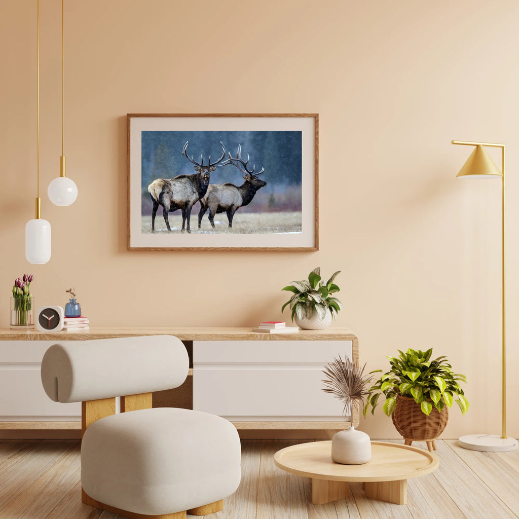 Diamond Painting - Première neige