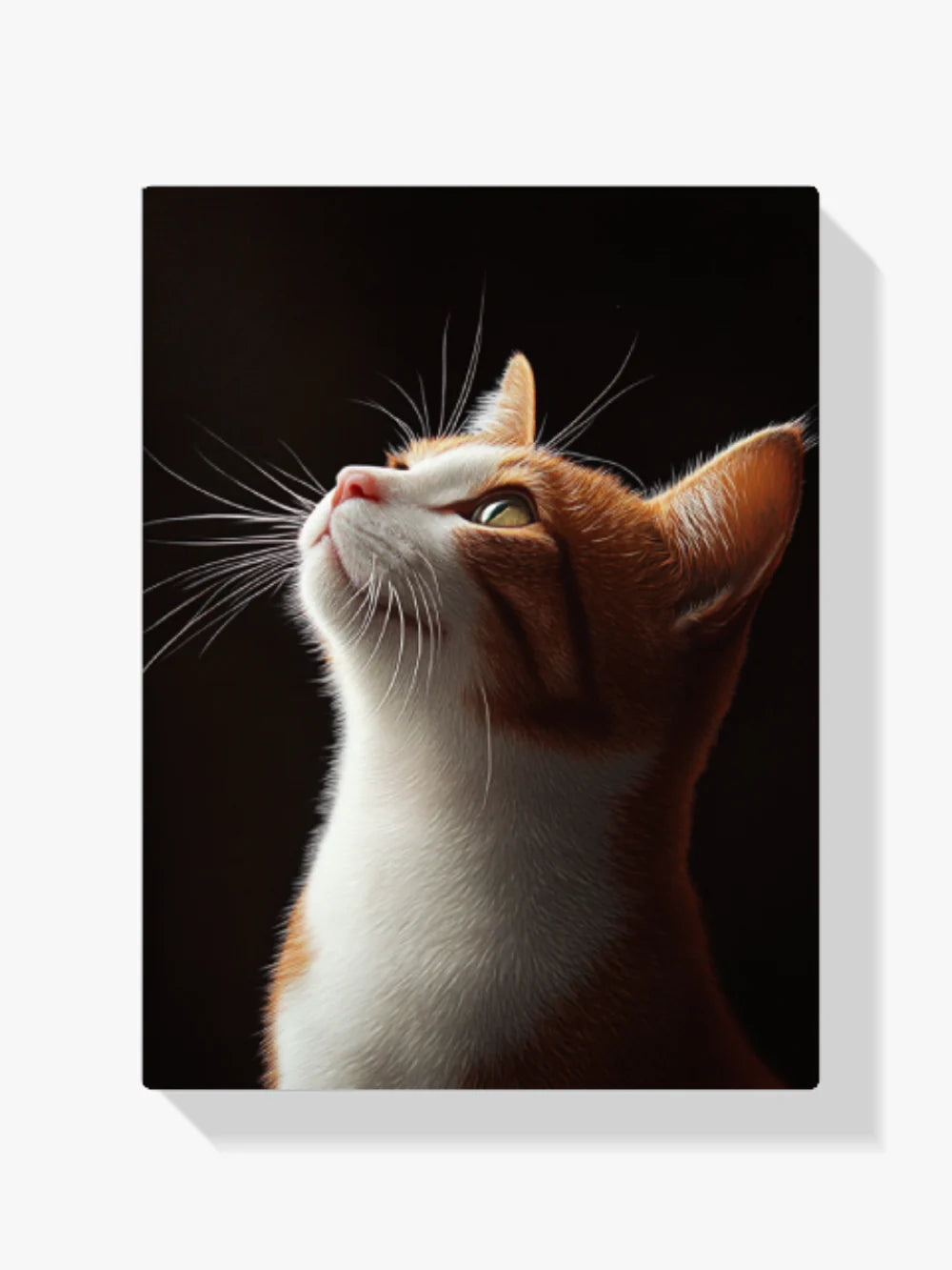 Diamond Painting - Féliin qui regarde