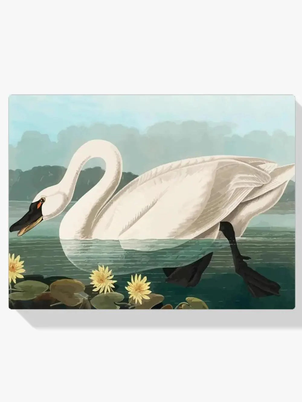 Diamond Painting - Cygne américain commun