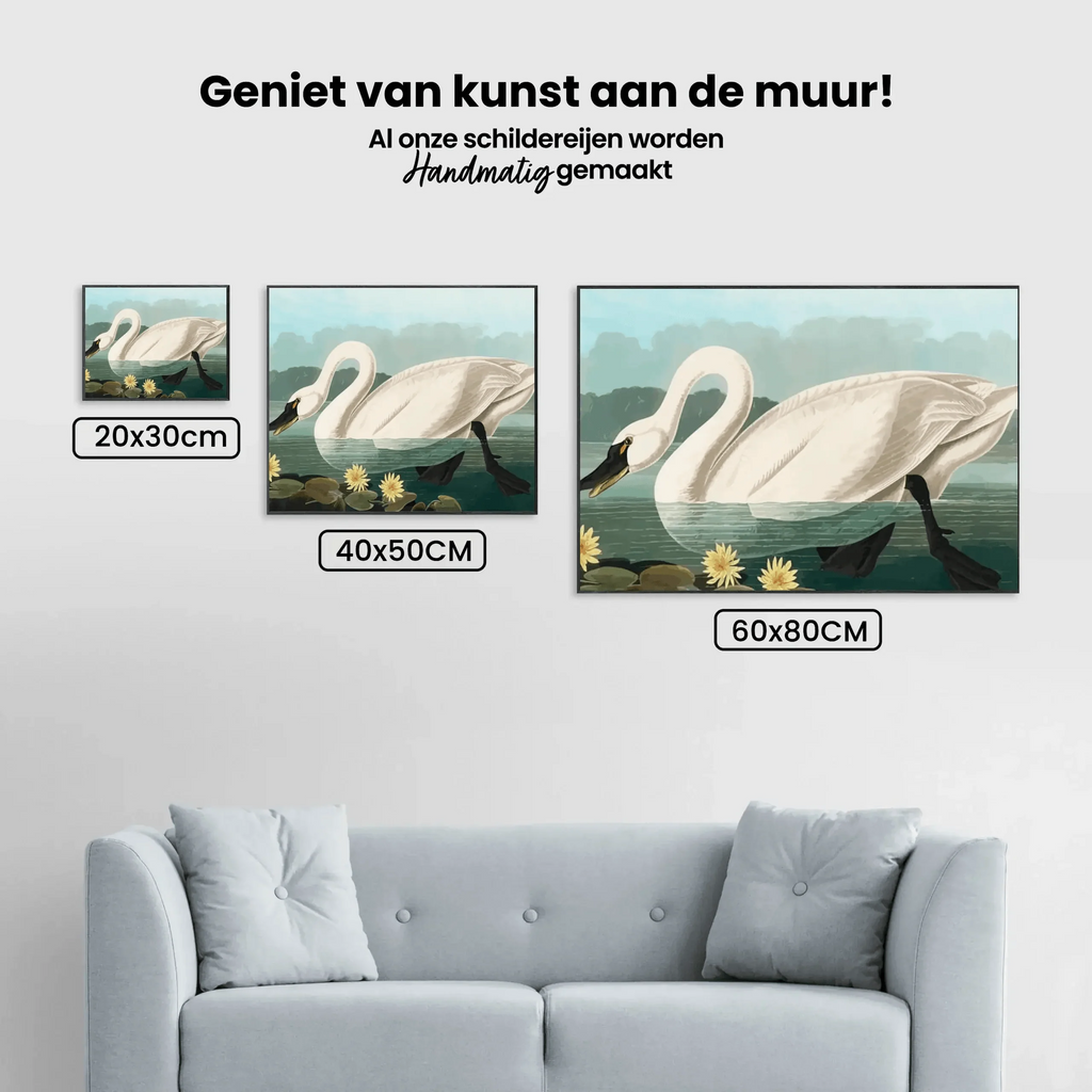 Diamond Painting - Cygne américain commun