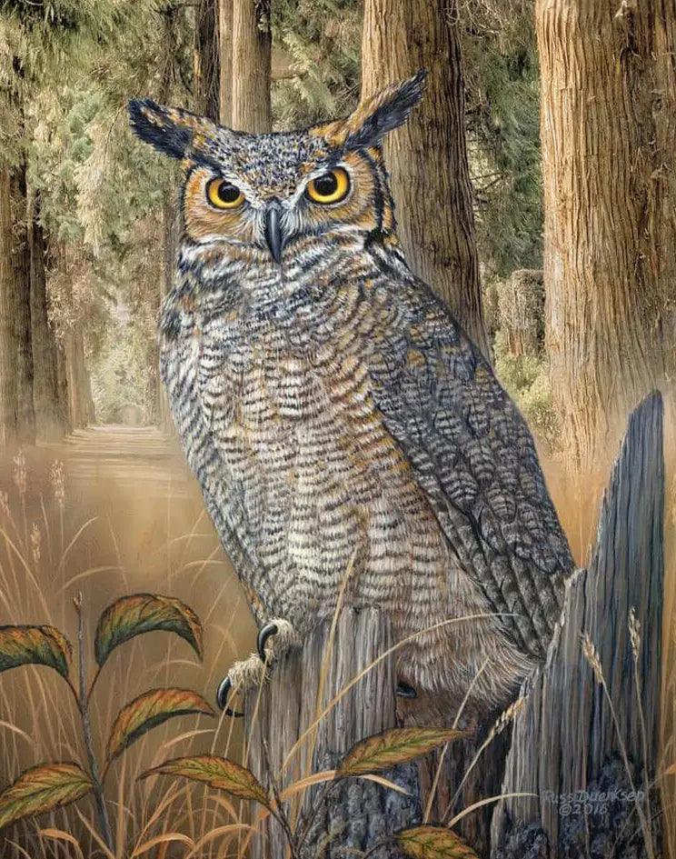 Diamond Painting - Grand Hibou Cornu