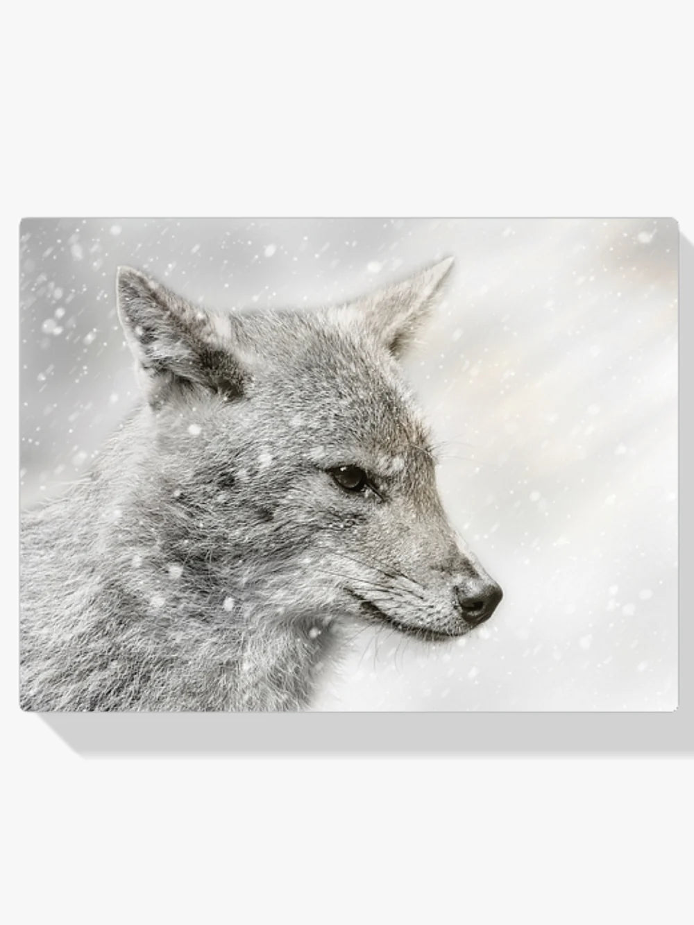 Diamond Painting - Jackal dans la tempête de neige