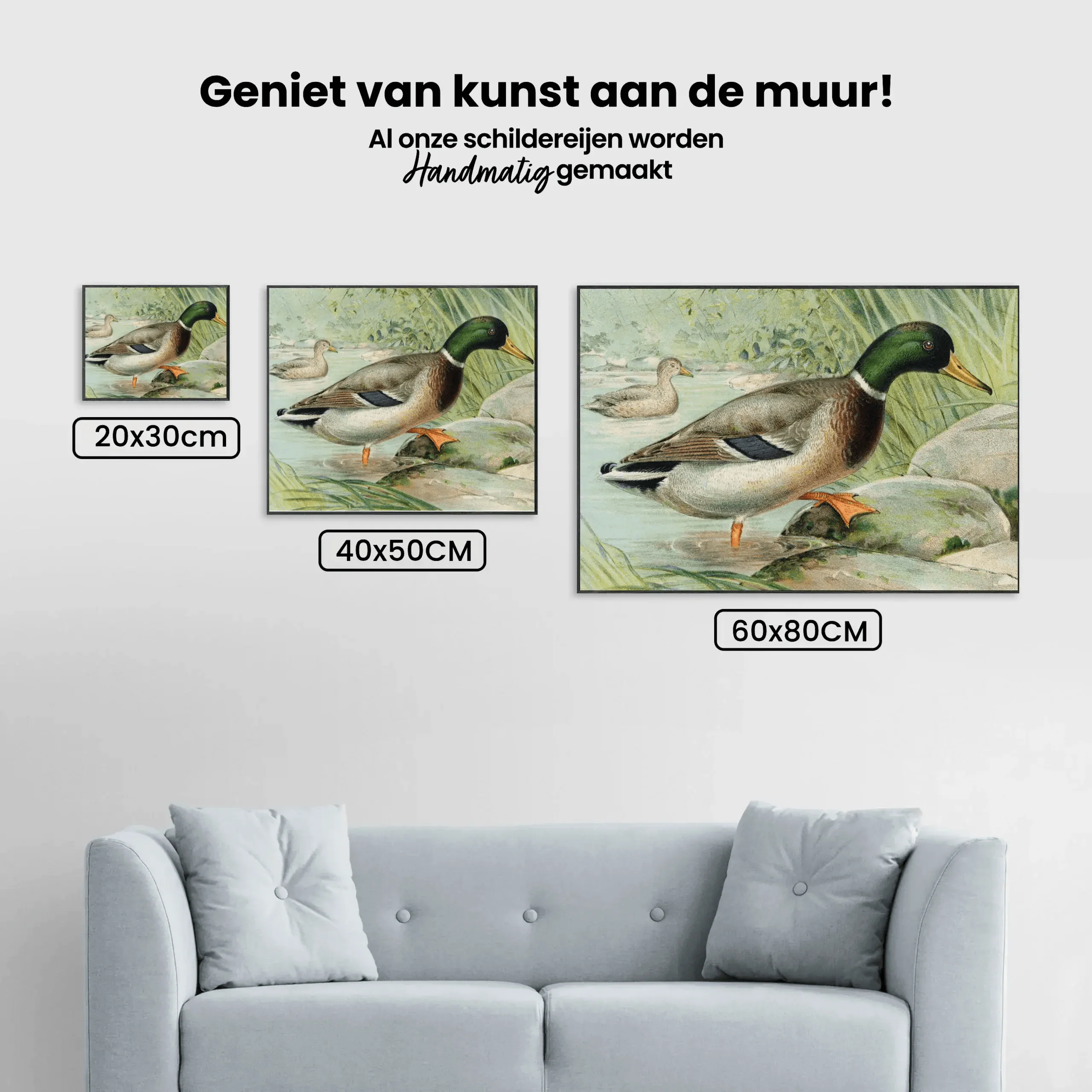 Diamond Painting Canard Colvert