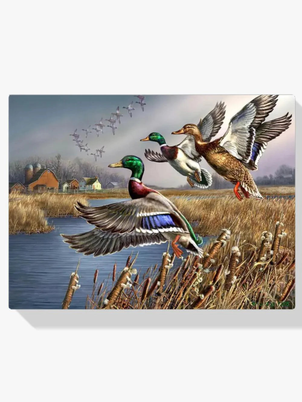 Diamond Painting - Outback canards sauvages