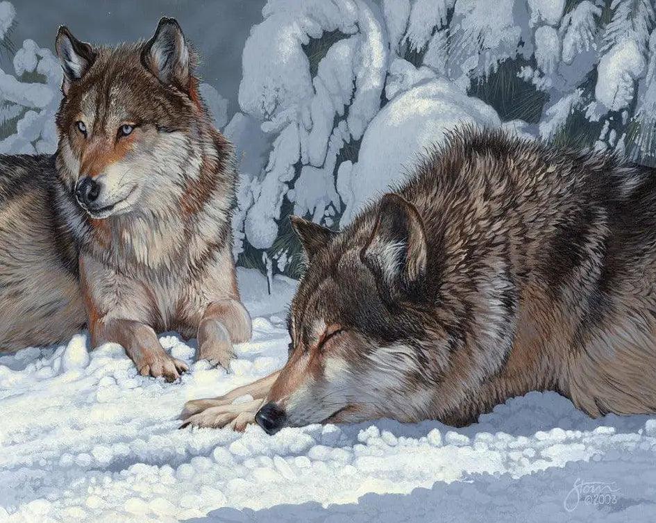 Diamond Painting - Peaceful Greys : Loup Captivant