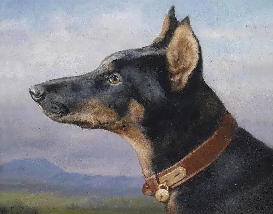 Diamond Painting - Portrait d'un Doberman