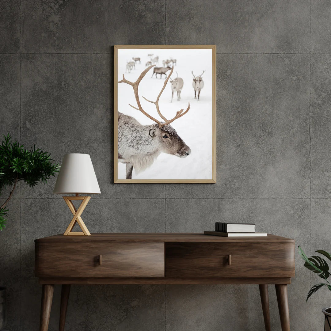 Diamond Painting - Rendre des rennes à Tromsø en Norvège