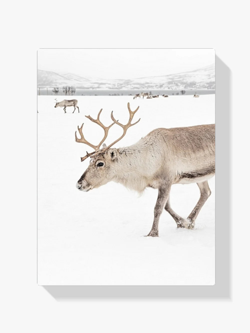 Diamond Painting - Cerfs dans un paysage d'hiver