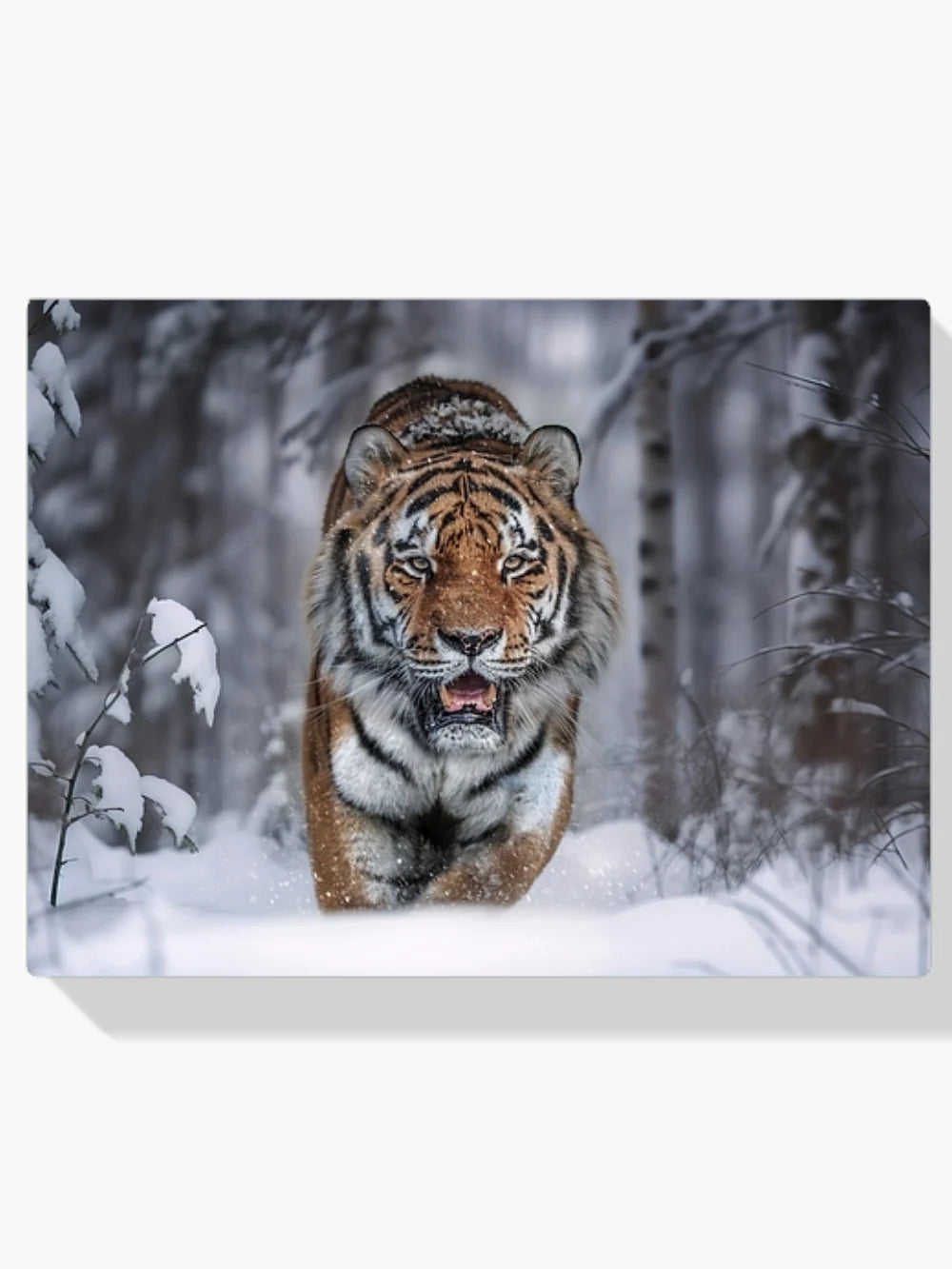 Diamond Painting - Tigre des neiges