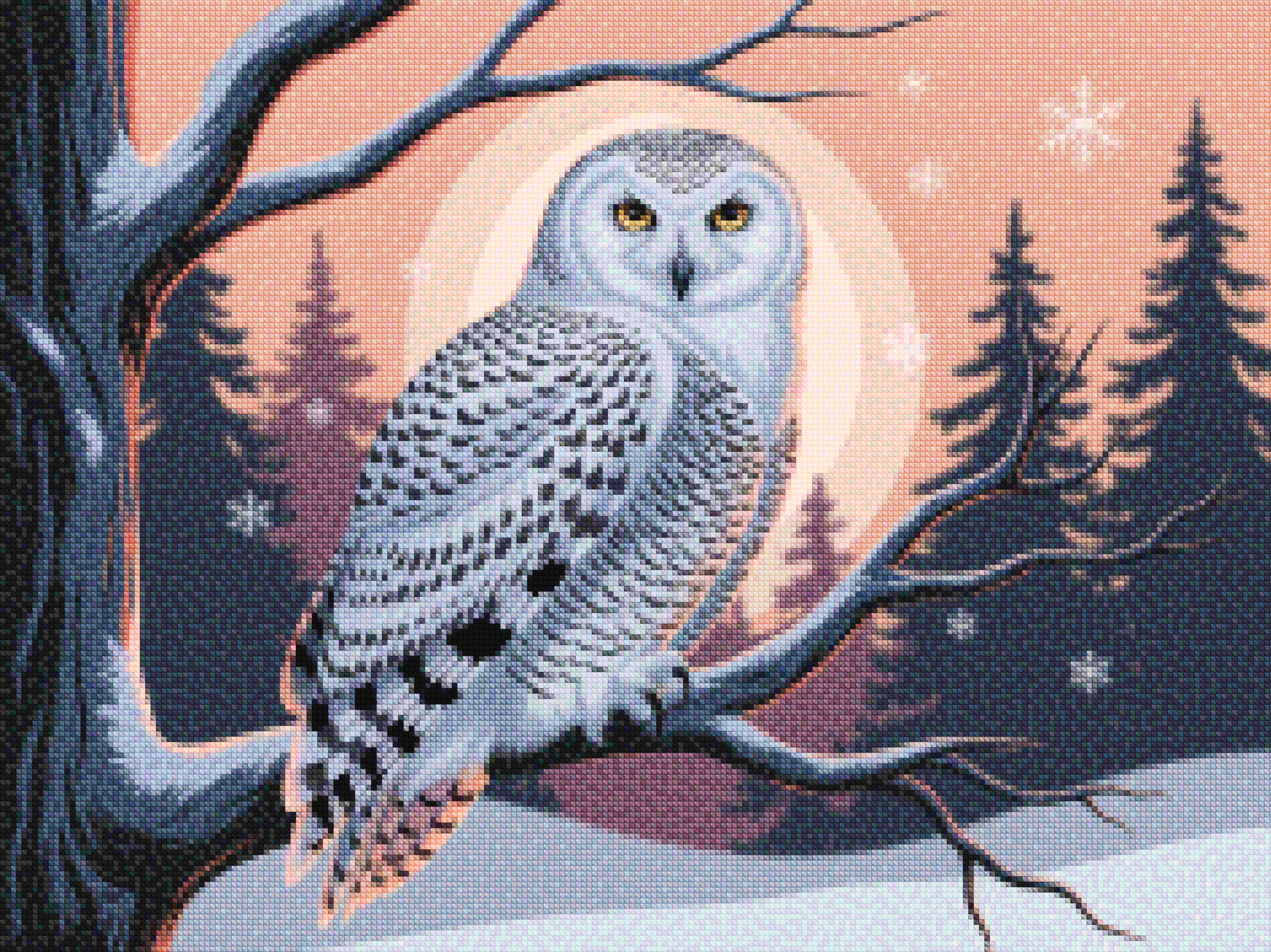 Diamond Painting - Hibou des neiges avec des yeux jaunes perçants