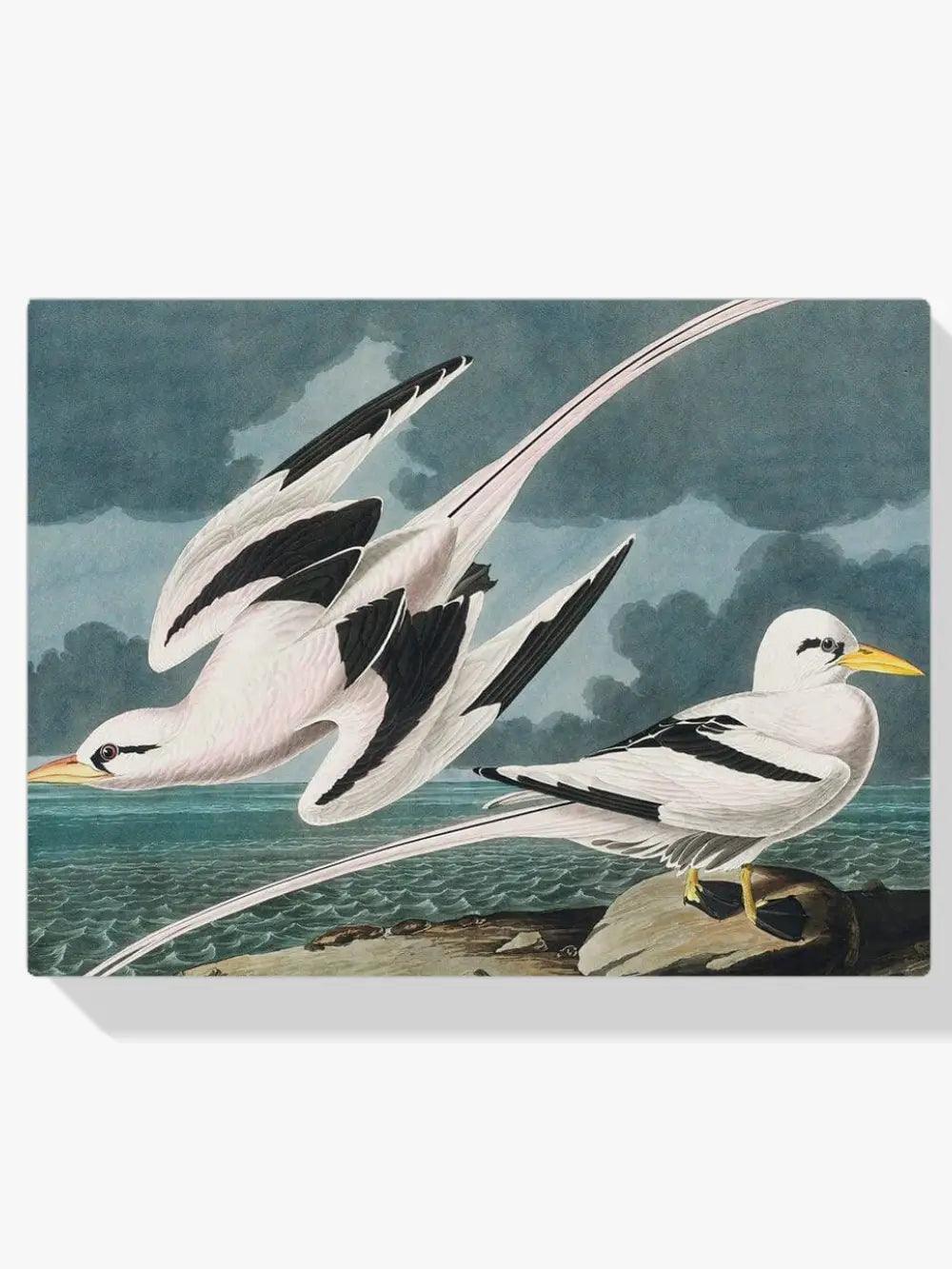Diamond Painting - Oiseau Tropical