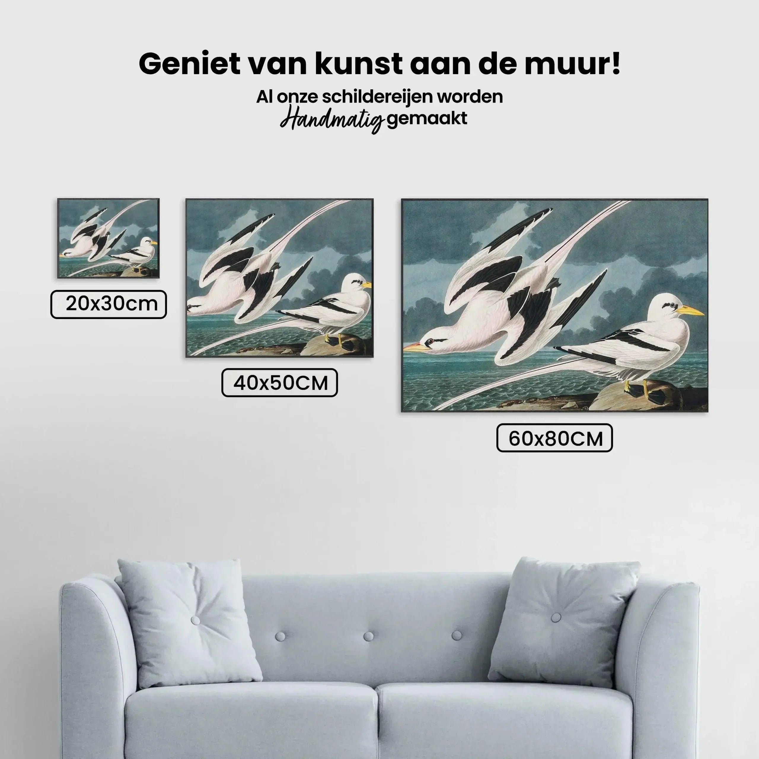 Diamond Painting - Oiseau Tropical