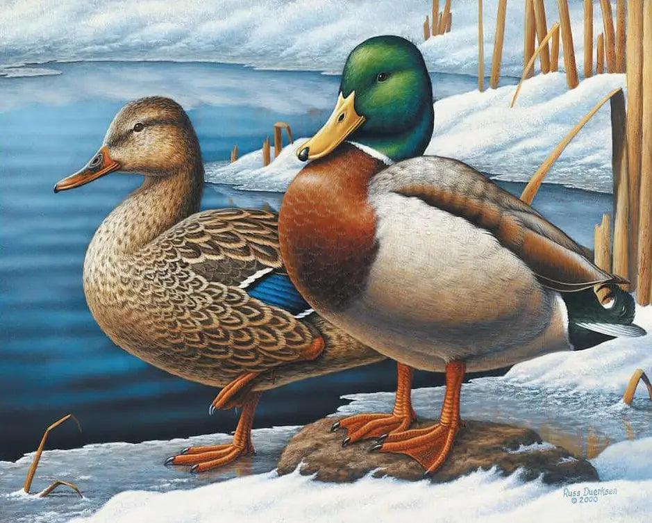 Diamond Painting - Visiteurs d'hiver