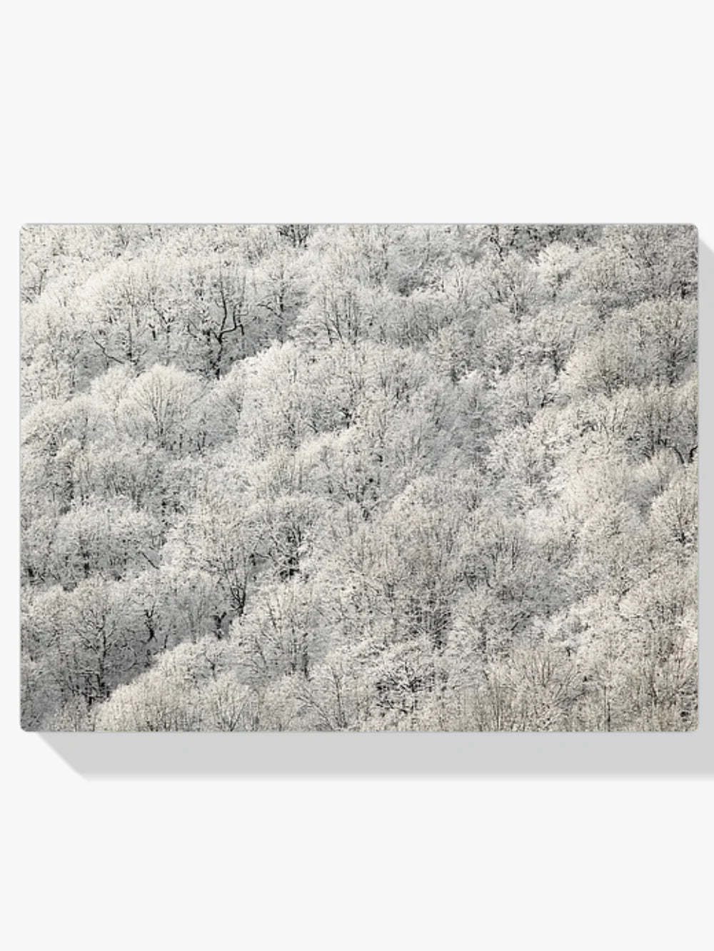 Diamond Painting - Arbres blancs