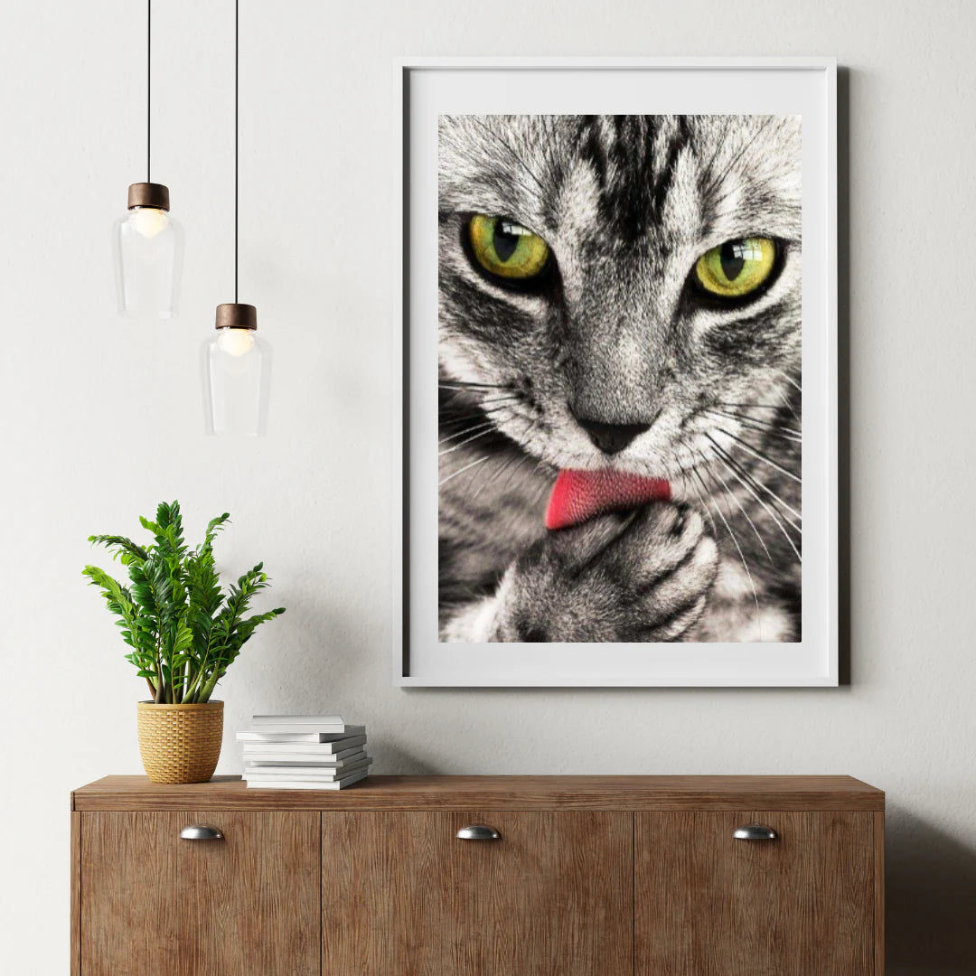Diamond Painting Chat aime à la main - SEOS Shop ®