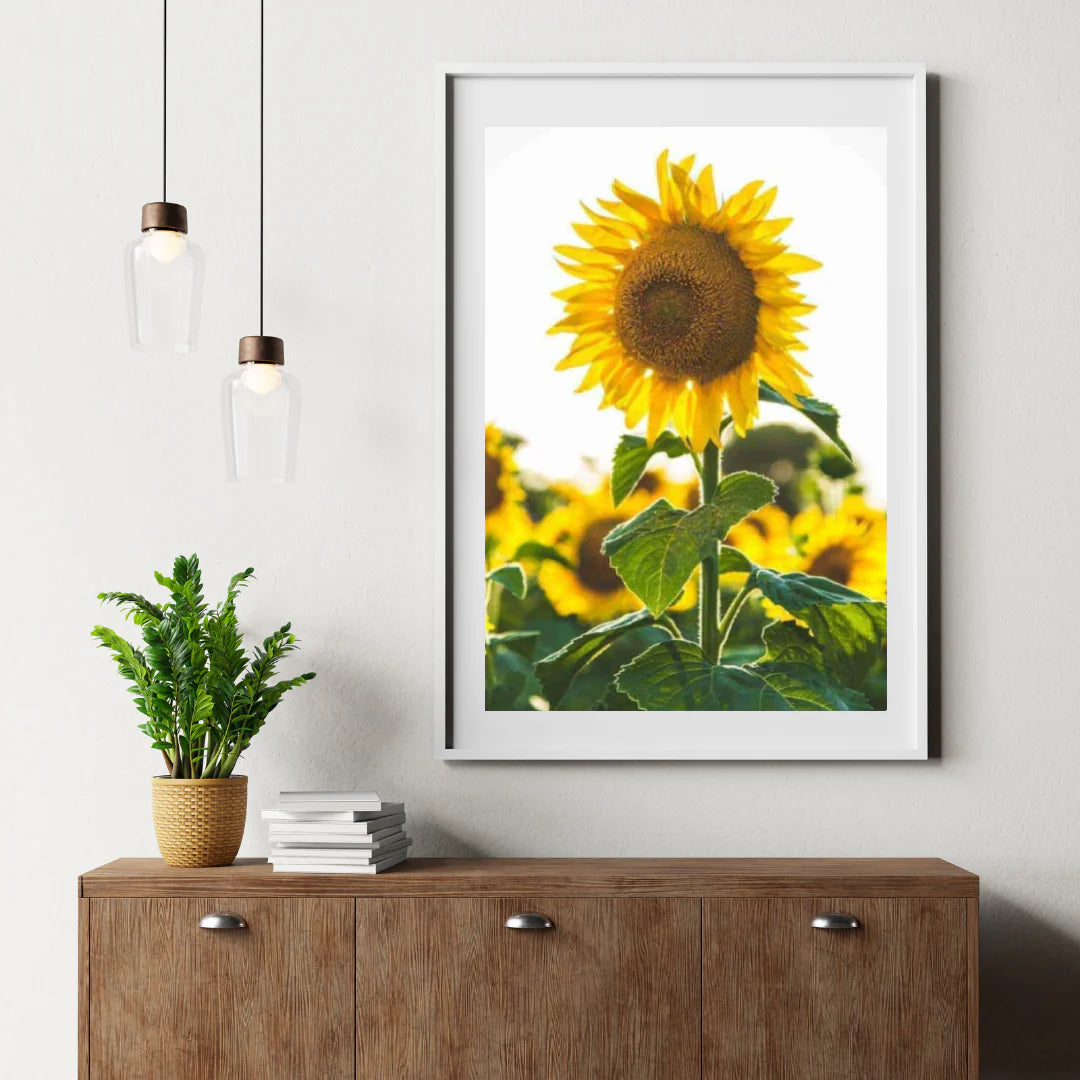 Diamond Painting Belle tournesol - SEOS Shop ®