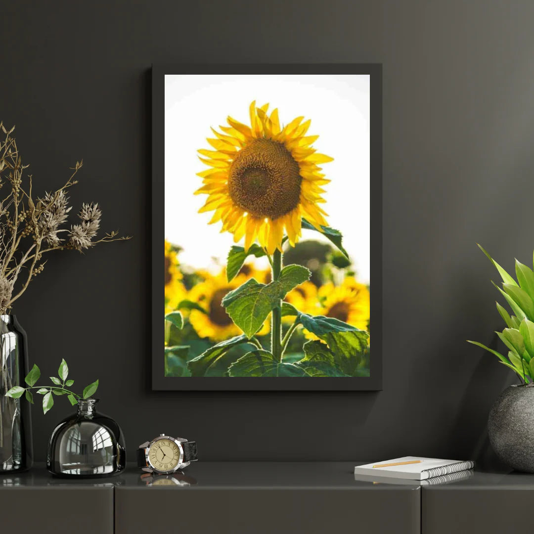 Diamond Painting Belle tournesol - SEOS Shop ®