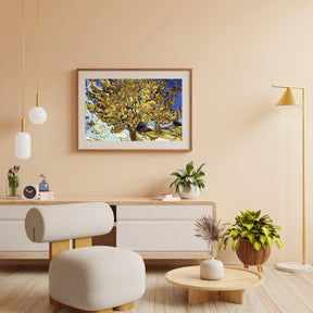 Diamond Painting Superbes arbres Van Gogh - SEOS Shop ®