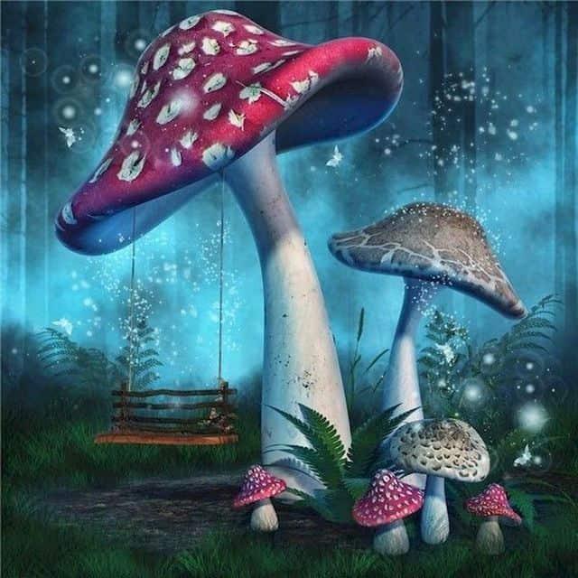 Diamond Painting Champignon Violet - SEOS Shop ®