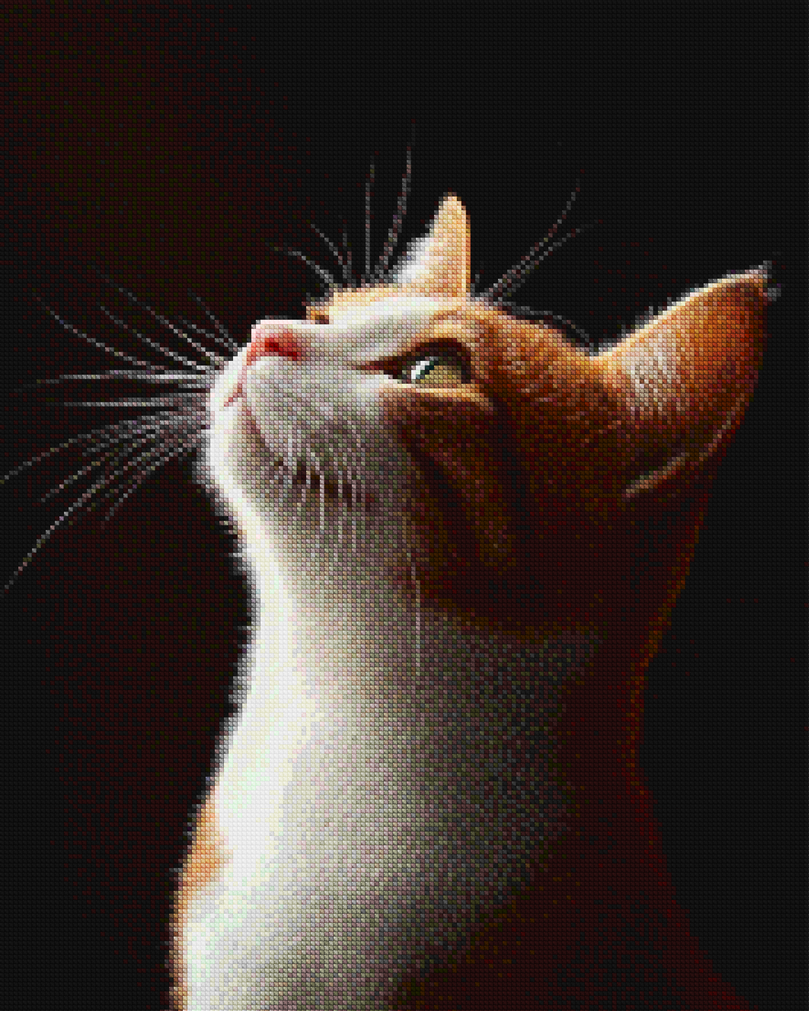 Diamond Painting - Féliin qui regarde