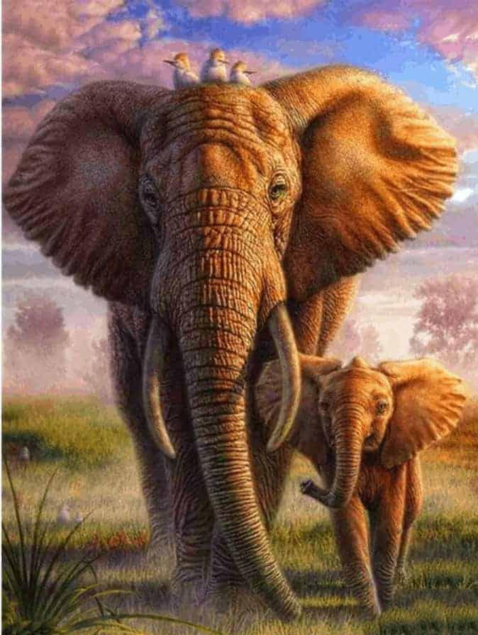 Diamond Painting Éléphant Safari Coloré - SEOS Shop ®